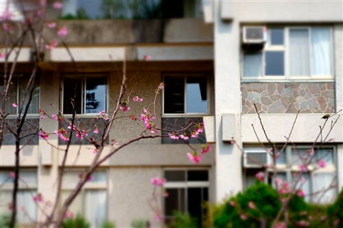 Spring is in the Air at TKU