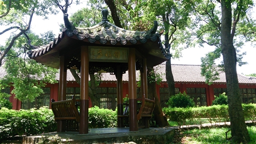 Summertime On TKU Campus