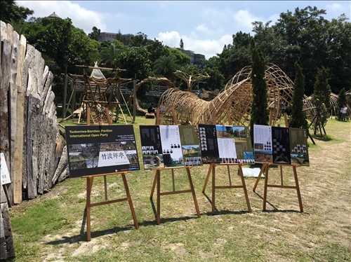 Showcasing the Beauty of Bamboo