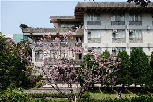 Spring Flowers On Every Campus