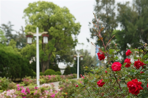 Spring is in the Air at TKU