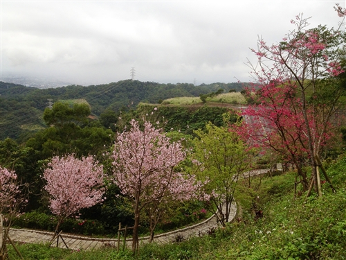 Spring is in the Air at TKU