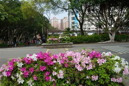 Spring is in the Air at TKU