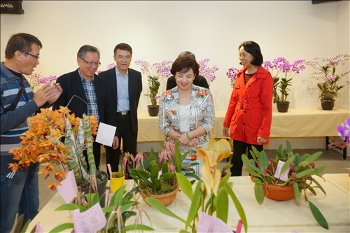 An Orchid Exhibition at the TKU Tamsui Campus