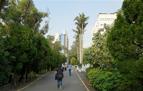 A Communication Takes Place Between the People and the Trees at TKU