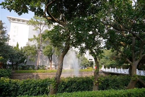 A Communication Takes Place Between the People and the Trees at TKU