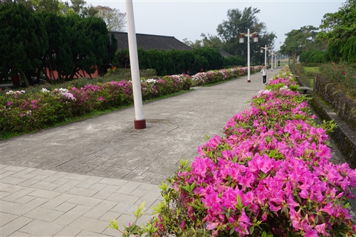 Spring is in the Air at TKU