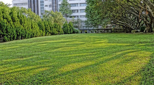 Summertime On TKU Campus