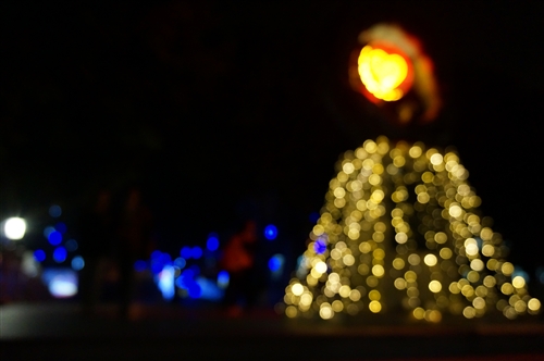Lights Wishes and Gratitude Festival Takes Place at TKU