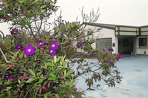 Spring is in the Air at TKU