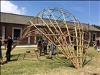 Showcasing the Beauty of Bamboo