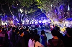 Lights Wishes and Gratitude Festival Takes Place at TKU
