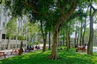 Renovations for Convenience and Relaxation