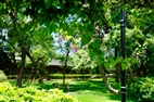 Summertime On TKU Campus